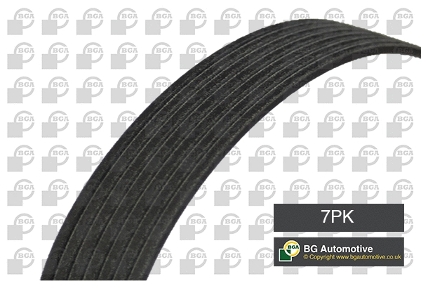MIKROREMEN 7PK1687 CONTI