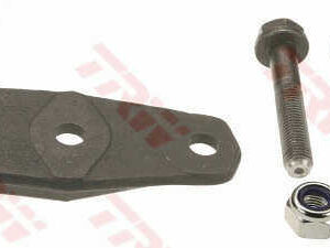 KUGLA RENAULT CLIO 1-2/KANGOO/MEGANE/TWINGO rupa 10 mm