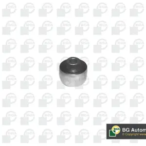 SELEN BLOK FORD PR.NAPRIJED ESCORT 5/6/7-FIESTA 3-ORION 3 89-99 G BGA