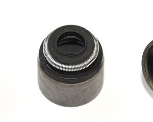 GUMICE VENTILA FI 5.5MM MEGANE / CLIO 1.2-2.0 B. elring