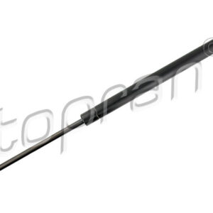 102719.jpg AMORTIZER GEPEKA FIAT 500 312 07+ topran