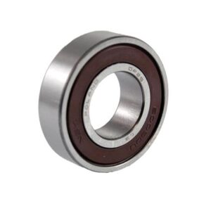 LEZAJ ALT. 6003 17X35X10 NSK RINF. MONEA NSK