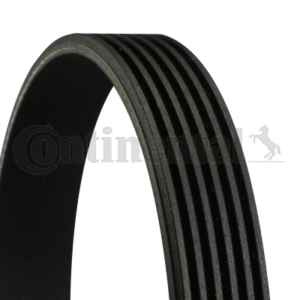 MIKROREMEN 6PK1042 ELAST CONTI