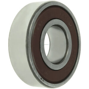 LEZAJ ALT. 6203 17X40X12 NSK RINF.