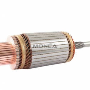 ROTOR ALNASERA 24V 4KW 138831
