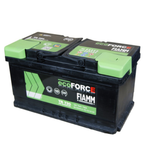 FIAMM ECOFORCE AFB L4B TR730 75AH 730A 315x175x175