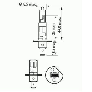 SIJALICA H1 BASIC 12V 55W P14.5S