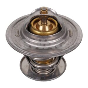 TERMOSTAT 87 STEPENI
