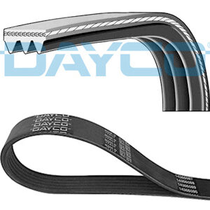 MIKROREMEN 3PK576 ELAST DAYCO