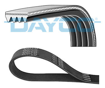 MIKROREMEN 4PK668 DAYCO