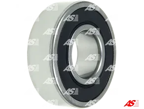 LEZAJ ALT. 6202 15X35X11 RINF.