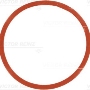 DIHTUNG USISNE GRANE BMW 3 E46 318 / 320 D reinz