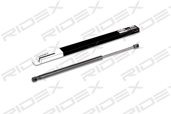 AMORTIZER GEPEKA RENAULT SCENIC II/GRAND SCENIC II ridex