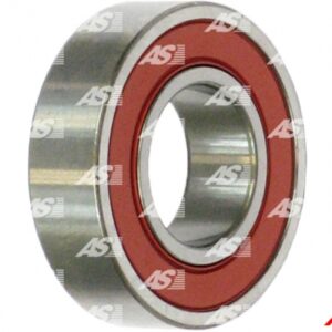 LEZAJ ALT. 6003 17X35X10 NTN