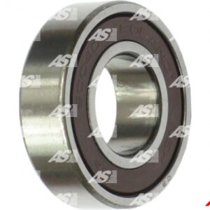 LEZAJ ALT. 6004 20X42X12 NSK HITACHI FORD