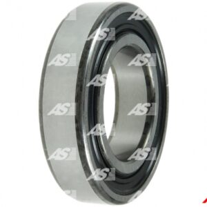 LEZAJ ALT. 30/55X13MM SKF