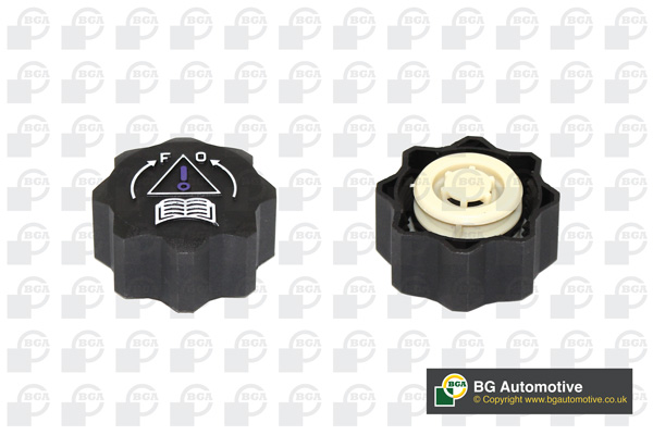 CEP BOCE VODE CITROEN/FIAT/PEUGEOT BGA