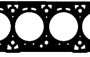 DIHTUNG GLAVE FIAT 1.6 16 V 76 KW