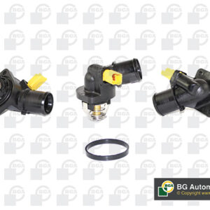 ct5021.jpg TERMOSTAT PSA C3 PICASO/BX/207. bga