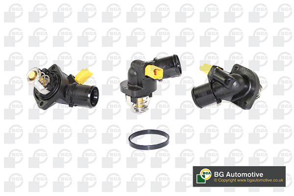 TERMOSTAT PSA C3 PICASO/BX/207. bga