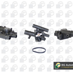 TERMOSTAT SA KUCISTEM RENAULT MEGANE 2 bga
