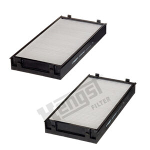 FILTER POLENA BMW X5 X6 07+ 2 KOM hengst