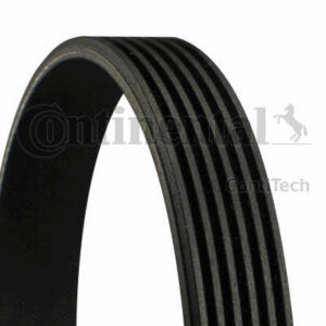 MIKROREMEN 6PK 1613 CONTI