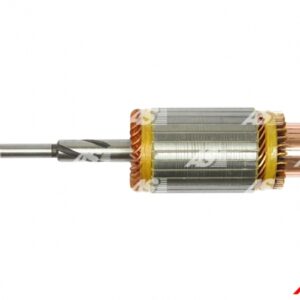 ROTOR ALNASERA 24V 4.5kW