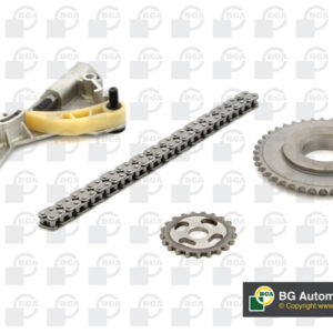 tc0160fk.jpg SET LANCA ULJNE PUMPE SET AUDI/A4/A6 2.0 TDI 04-11 bga