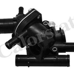 TERMOSTAT SA KUCISTEM RENAULT LAGUNA I / II 1.9 DCI vernet