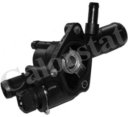 TERMOSTAT SA KUCISTEM RENAULT CLIO II/KANGOO 1.5 DCI vernet