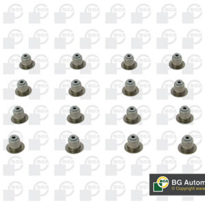 vk1373.jpg SET GUMICA VENTILA BMW E60/E90/F10/F30 16 KOM. bga