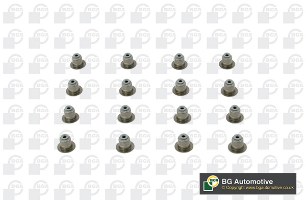 SET GUMICA VENTILA BMW E60/E90/F10/F30 16 KOM.  bga