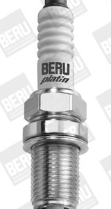 z229_1393805.jpg SVIJECICA beru